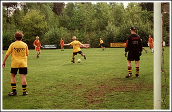 The Swedish clear their lines confidently whilst two goals up against Holland